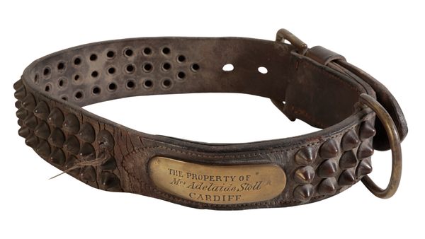 A VICTORIAN LEATHER AND BRASS STUDDED DOG COLLAR