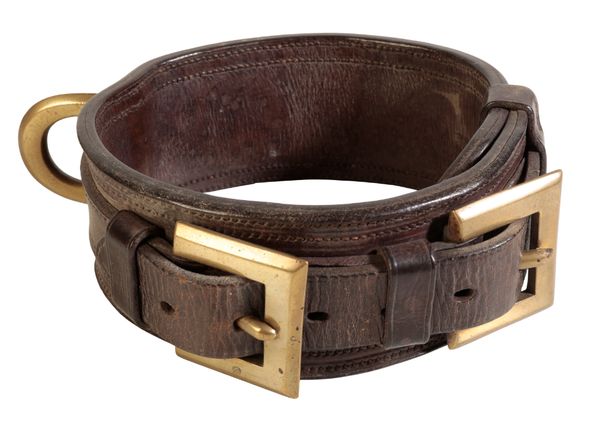 A LATE 19TH CENTURY LEATHER AND BRASS DOG COLLAR