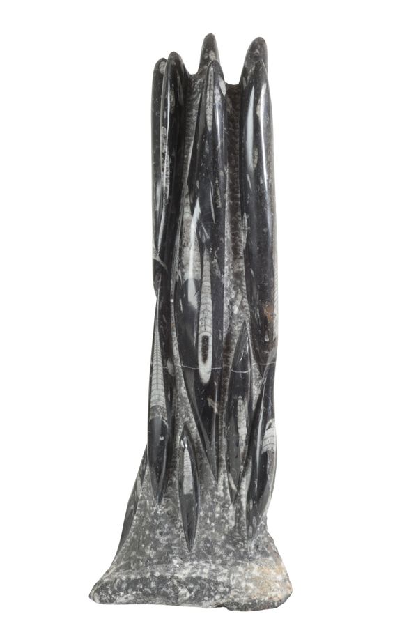 AN ORTHOCERAS FOSSIL PILLAR