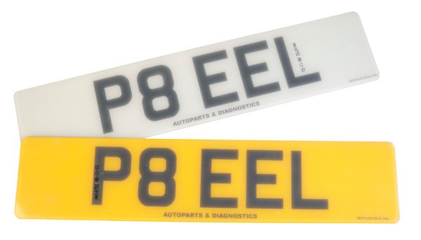 A PRIVATE NUMBER PLATE P8 EEL