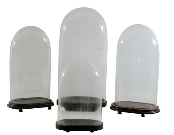 TAXIDERMY: FOUR VICTORIAN GLASS DOMES