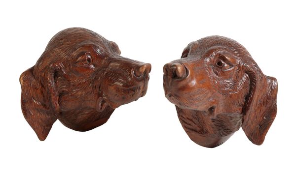 A PAIR OF LATE 19TH CENTURY BLACK FOREST LIMEWOOD WALL CARVINGS OF GUN DOG HEADS