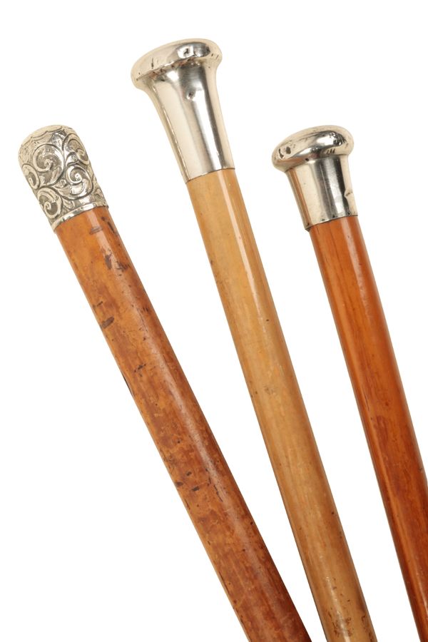 AN EDWARDIAN WALKING STICK