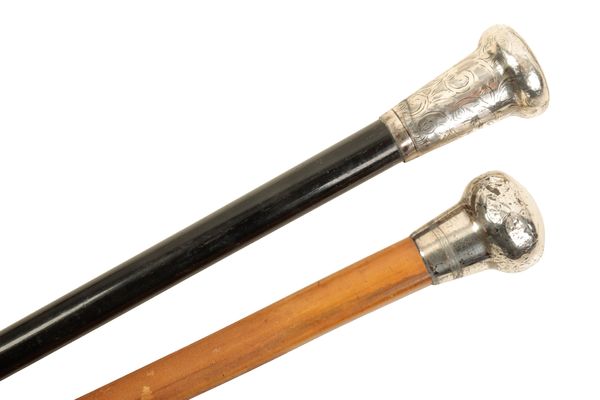 AN EDWARDIAN WALKING STICK