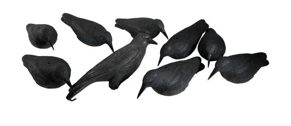 A QUANTITY OF DECOY ROOKS