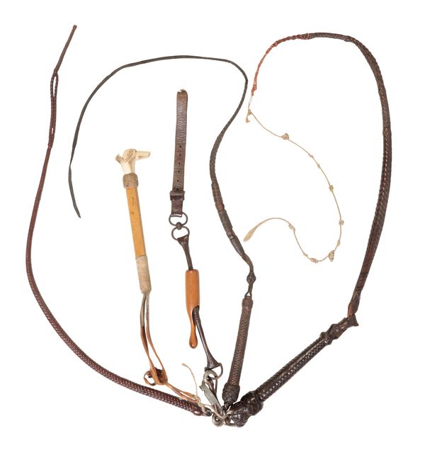 THREE LEATHER PLAITED BEAGLING WHIPS