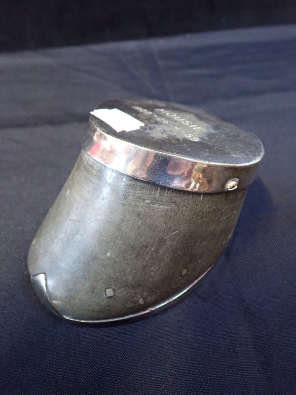 A HORSE'S HOOF WITH PLATED MOUNTS