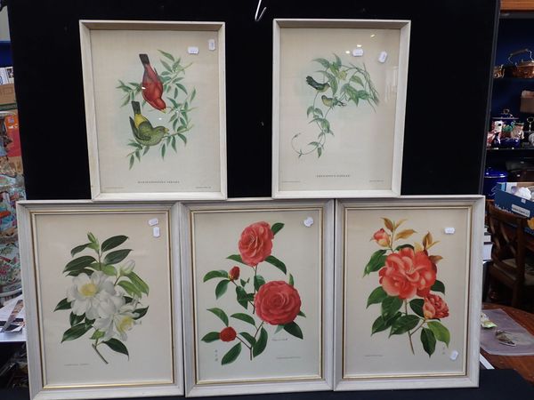 THREE BOTANICAL PRINTS