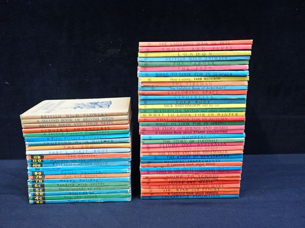 A COLLECTION OF LADYBIRD BOOKS