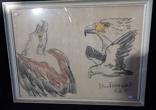 JOHN TENNENT: EAGLE STUDY, COLOURED CHALK