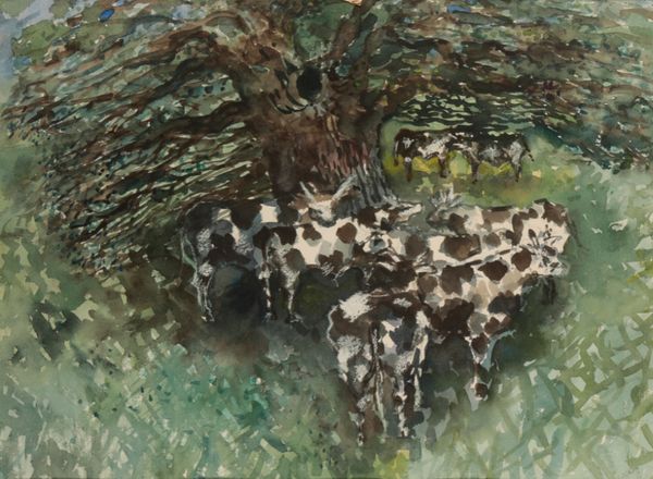 *ANTHEA CRAIGMYLE (1933-2016) 'Cows'