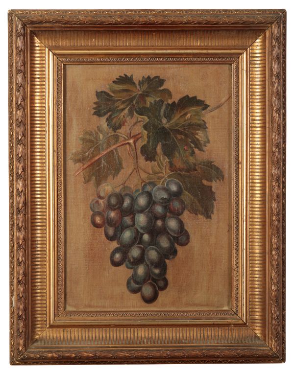 ENGLISH SCHOOL, 20TH CENTURY A still life study of grapes