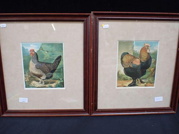 A PAIR OF LITHOGRAPHS FROM 'WRIGHT'S POULTRY'