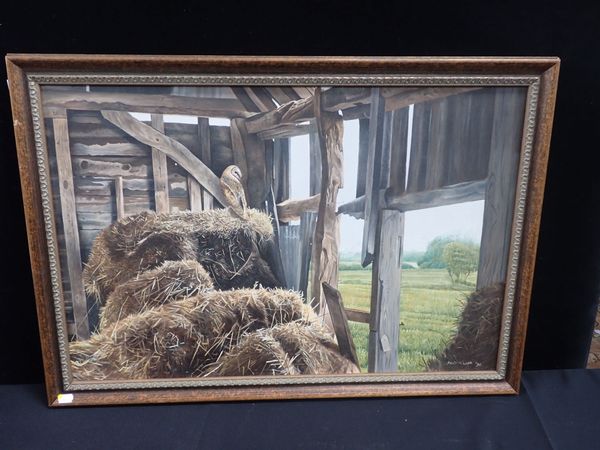 DAVID MILLER: BARN OWL, ON A BALE OF STRAW