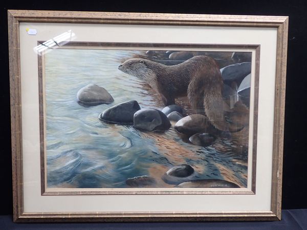 DAVID MILLER:  OTTER ON THE SHORE