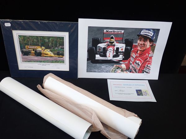 LOCAL HERO - AYRTON SENNA IN BRAZIL LIMITED EDITION PRINT BY TOM DUNN 8/100 33cm x 28cm