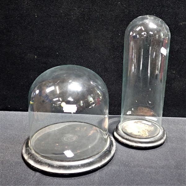 TWO GLASS DOMES, WITH TURNED WOODEN BASES