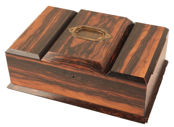 A VICTORIAN COROMANDEL WOOD HUMIDOR