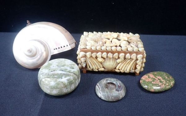 A CARVED NAUTILUS SHELL