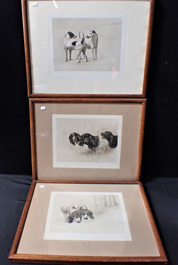 AFTER MAUD EARL: THREE REPRODUCTION PRINTS OF OIL PAINTINGS OF DOGS