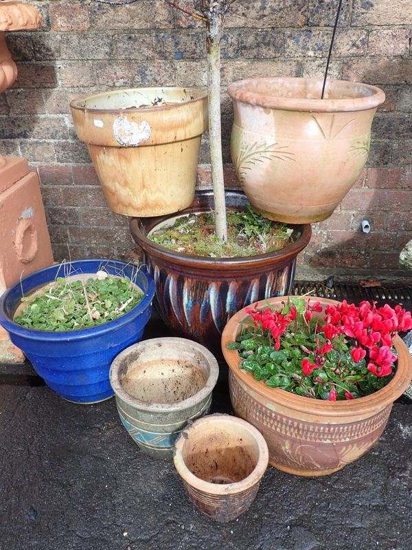 A COLLECTION OF GARDEN POTS