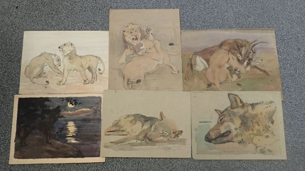 WILLIAM WALLS (1860-1942) A collection of studies of lions