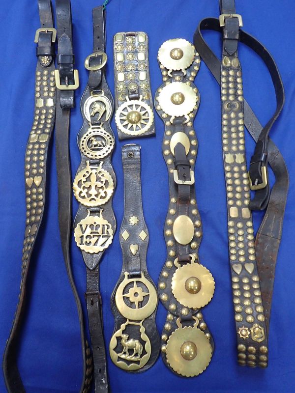 A MARTINGALE, WITH HORSE BRASSES INCLUDING 'VR 1877'