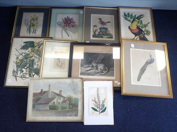 A COLLECTION OF PRINTS
