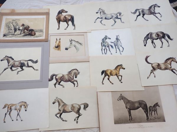 A GROUP OF UNFRAMED WATERCOLOUR STUDIES OF HORSES