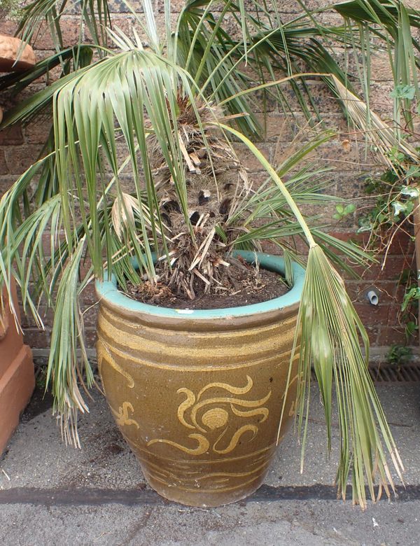 A CHINESE GLAZED GARDEN POT