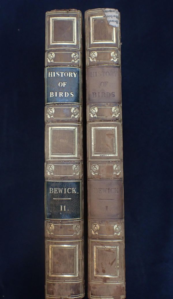 THOMAS BEWICK; A HISTORY OF BRITISH BIRDS