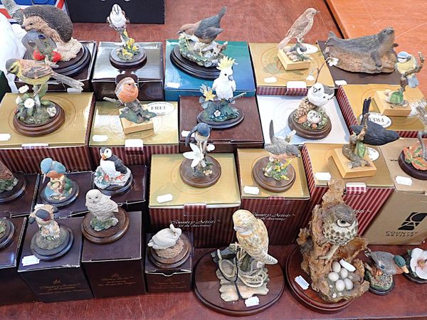 A BORDER FINE ARTS BARN OWL