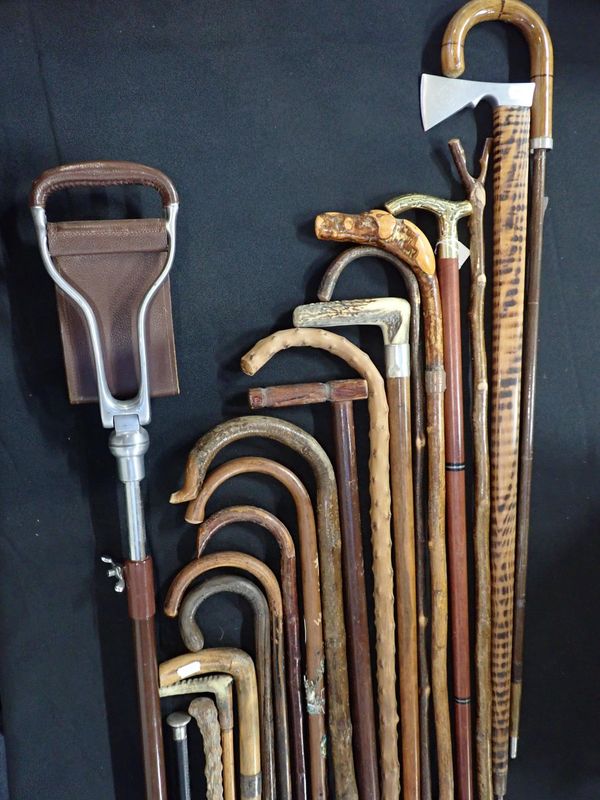 A COLLECTION OF WALKING STICKS