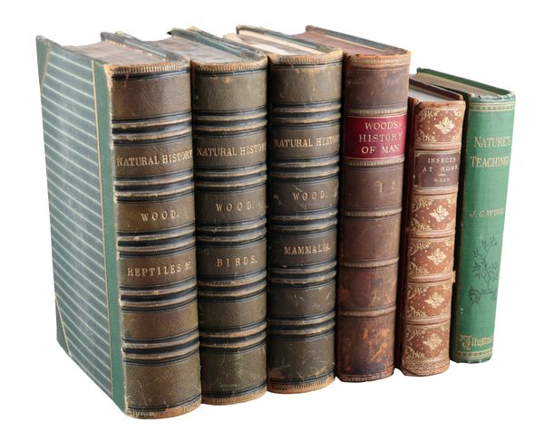 WOOD, J. G.: ‘THE ILLUSTRATED NATURAL HISTORY’