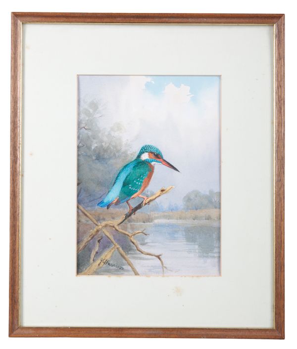 *JOHN C. HARRISON (1898-1985) A study of a kingfisher