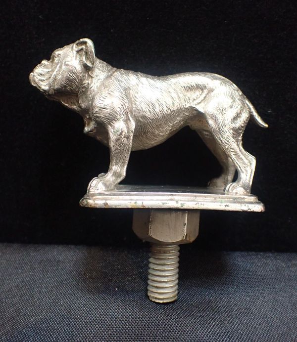 A POLISHED STEEL BRITISH BULLDOG CAR MASCOT