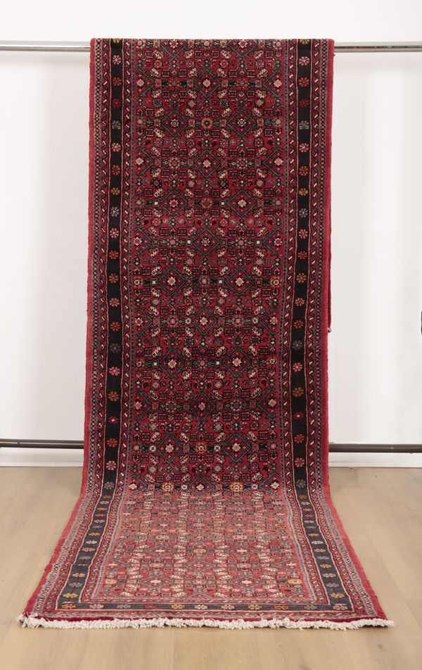 A NORTH WEST PERSIAN MALAY RUNNER