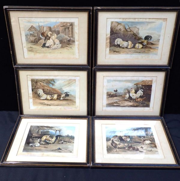 SIX MID-19TH CENTURY COCK FIGHTING PRINTS