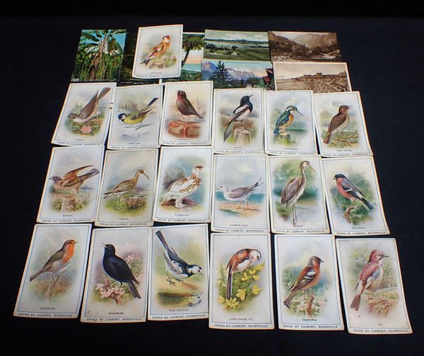 CADBURY: REWARD CARDS, BRITISH BIRDS
