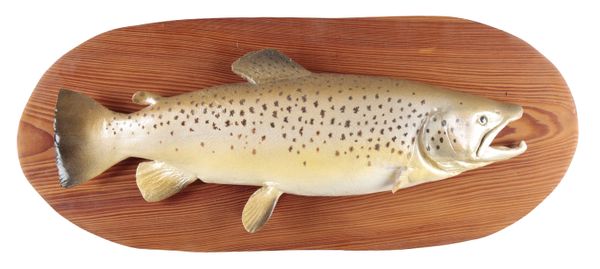 TWO HAND-PAINTED BROWN TROUT