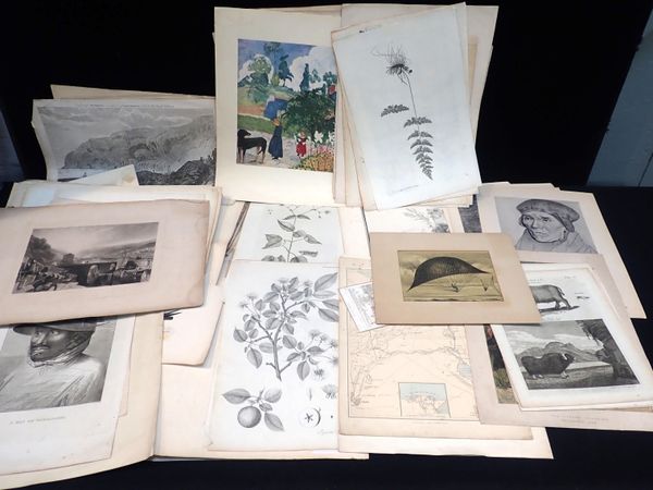 A FOLDER OF OLD PRINTS