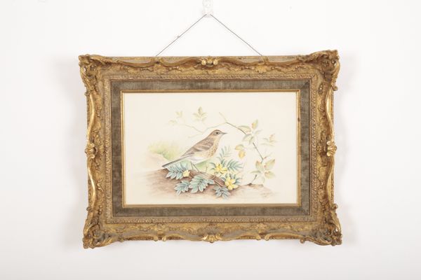 A HANDPAINTED CERAMIC PLAQUE OF 'MEADOW PIPIT AND SILVERWEED' BY ROYAL WORCESTER