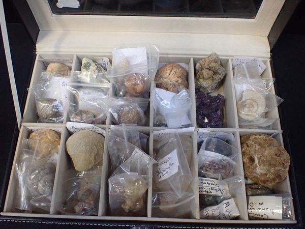 A COLLECTION OF FOSSILS AND MINERAL SPECIMENS