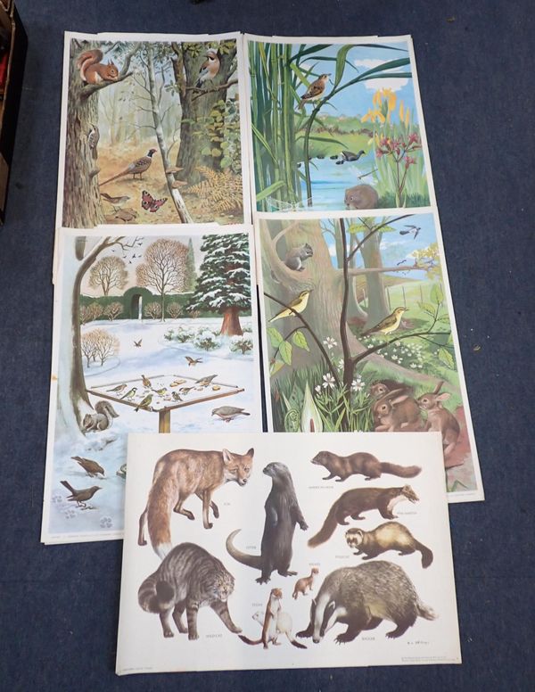 A SET OF FREDERICK WARNE EDUCATIONAL PICTURES