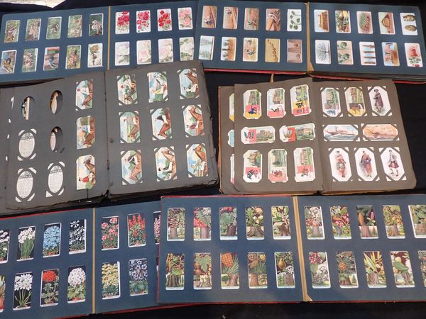 SIX ALBUMS OF CIGARETTE CARDS