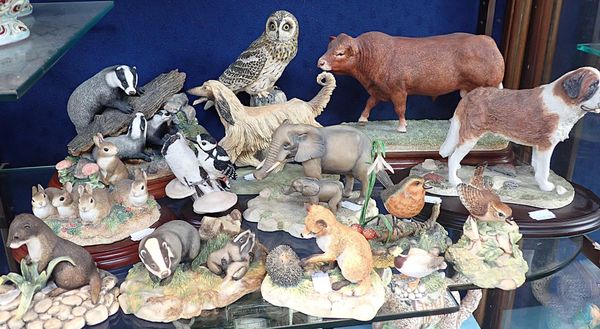 BORDER FINE ARTS: LIMOUSIN BULL