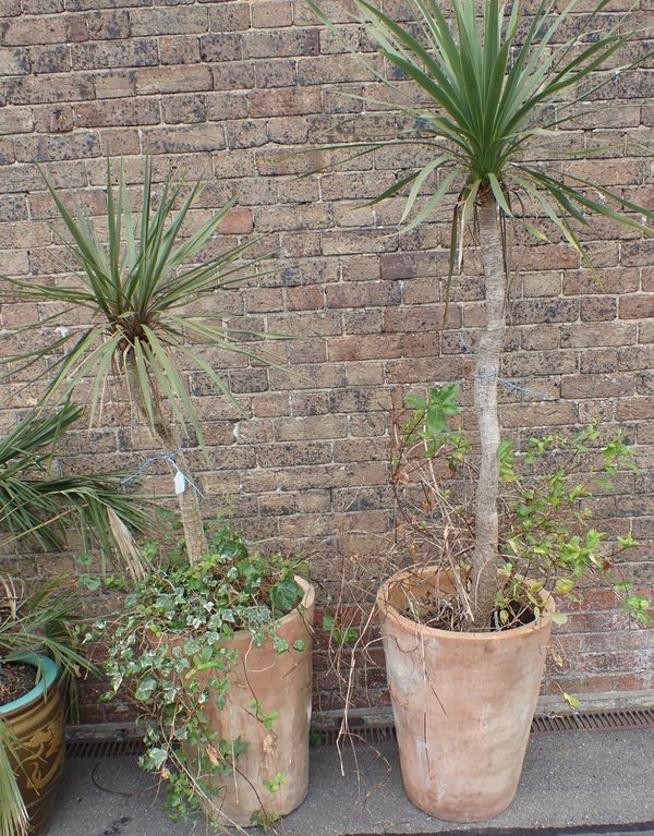 A PAIR OF LARGE TERRACOTTA GARDEN POTS