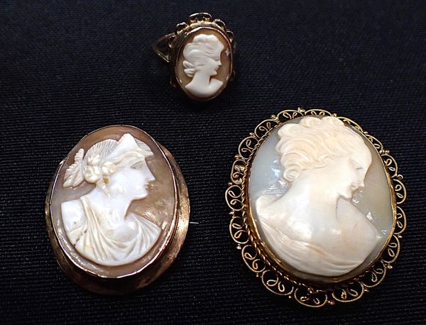 A SHELL CAMEO BROOCH, IN 9ct GOLD SETTING