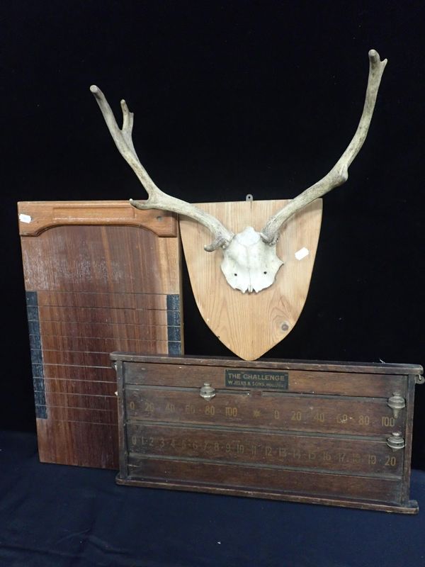A PAIR OF ANTLERS, MOUNTED ON A PINE SHIELD