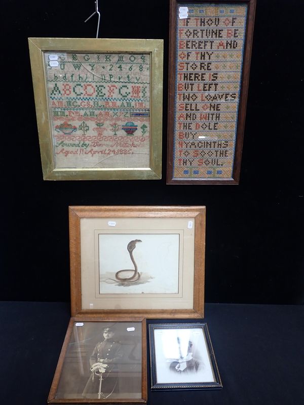 EARLY 19th CENTURY DRAWINGS OF A COBRA